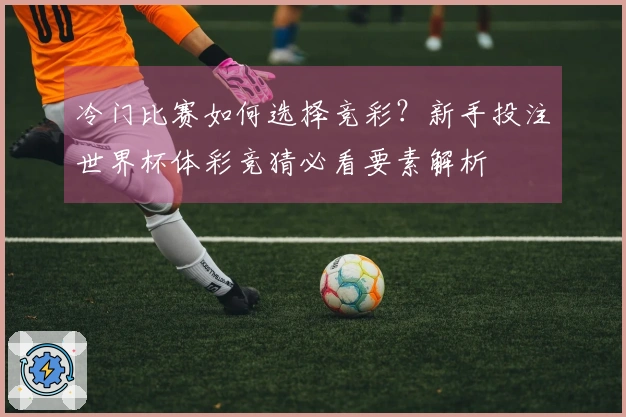 冷门比赛如何选择竞彩？新手投注世界杯体彩竞猜必看要素解析