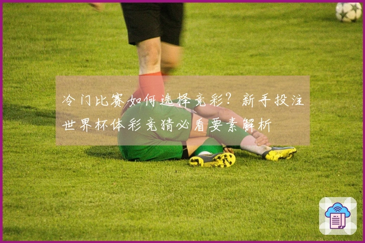 冷门比赛如何选择竞彩？新手投注世界杯体彩竞猜必看要素解析
